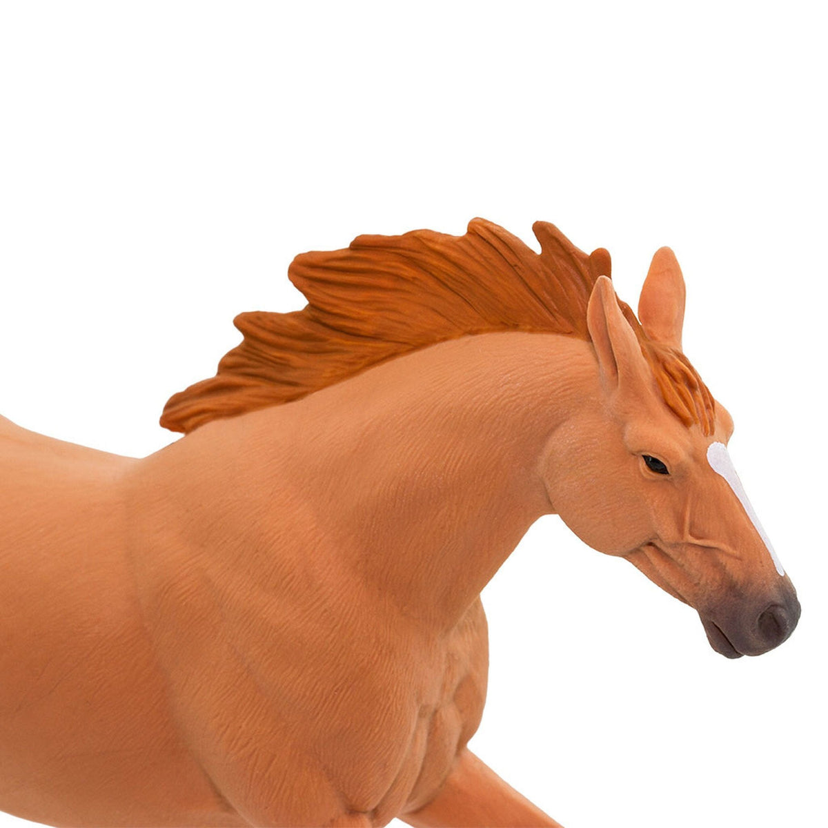 Safari Ltd Trakehner Stallion-SAF151805-Animal Kingdoms Toy Store