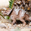 Safari Ltd Armored Triceratops-SAF100733-Animal Kingdoms Toy Store