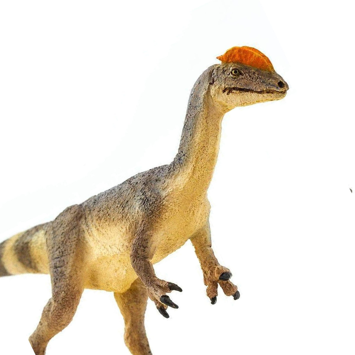 Safari Ltd Dilophosaurus-SAF100508-Animal Kingdoms Toy Store