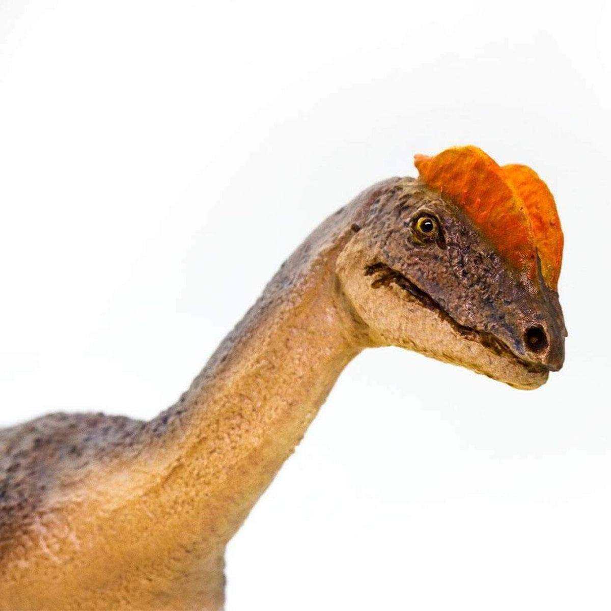 Safari Ltd Dilophosaurus-SAF100508-Animal Kingdoms Toy Store