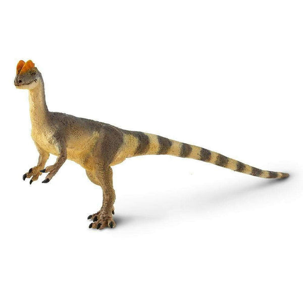 Safari Ltd Dilophosaurus-SAF100508-Animal Kingdoms Toy Store