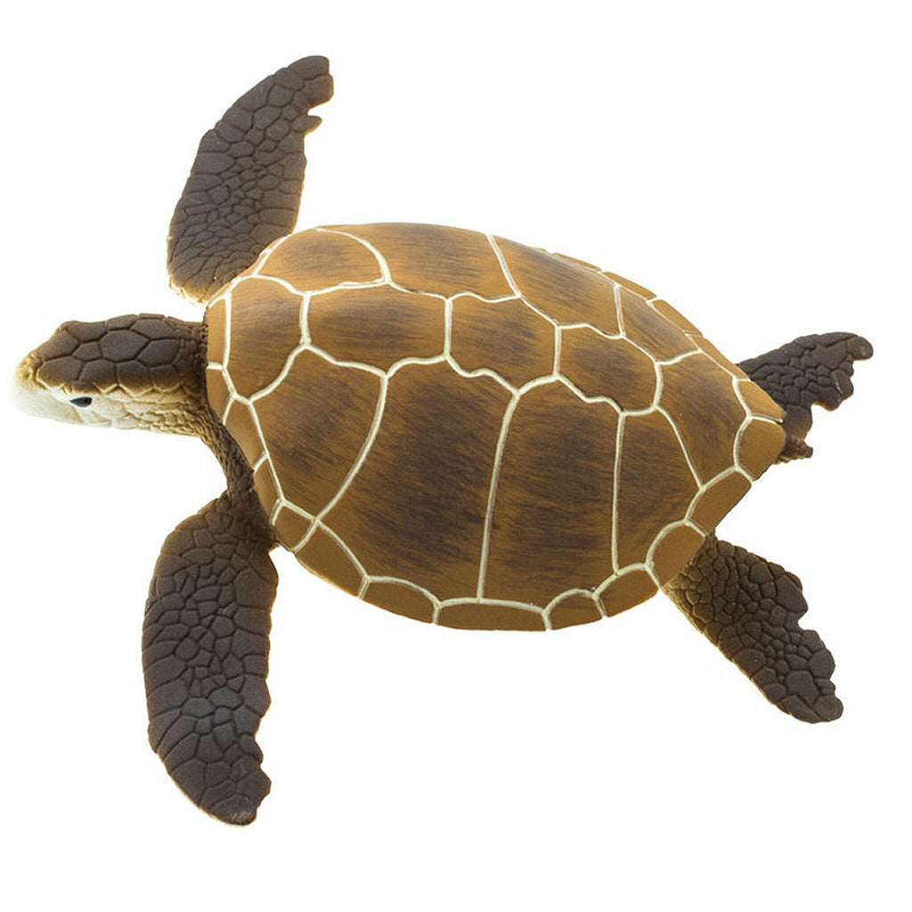 Safari Ltd Green Sea Turtle – Animal Kingdoms Toy Store