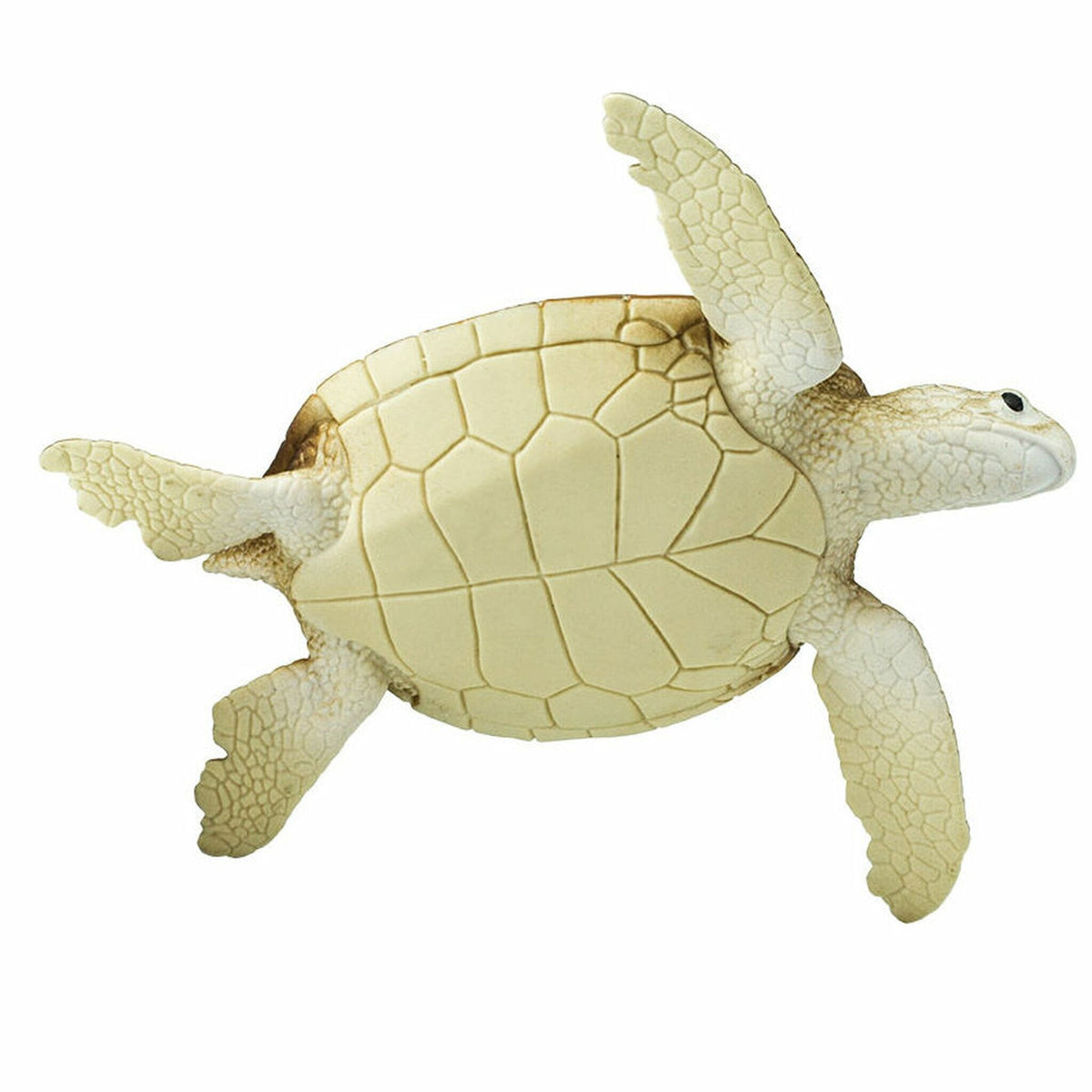 Safari Ltd Green Sea Turtle-SAF202329-Animal Kingdoms Toy Store