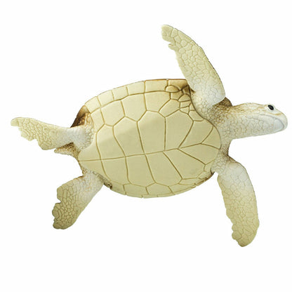 Safari Ltd Green Sea Turtle-SAF202329-Animal Kingdoms Toy Store
