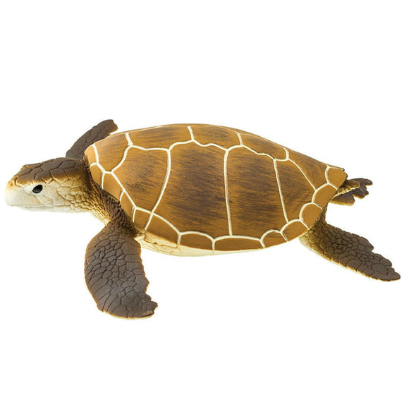 Safari Ltd Green Sea Turtle-SAF202329-Animal Kingdoms Toy Store