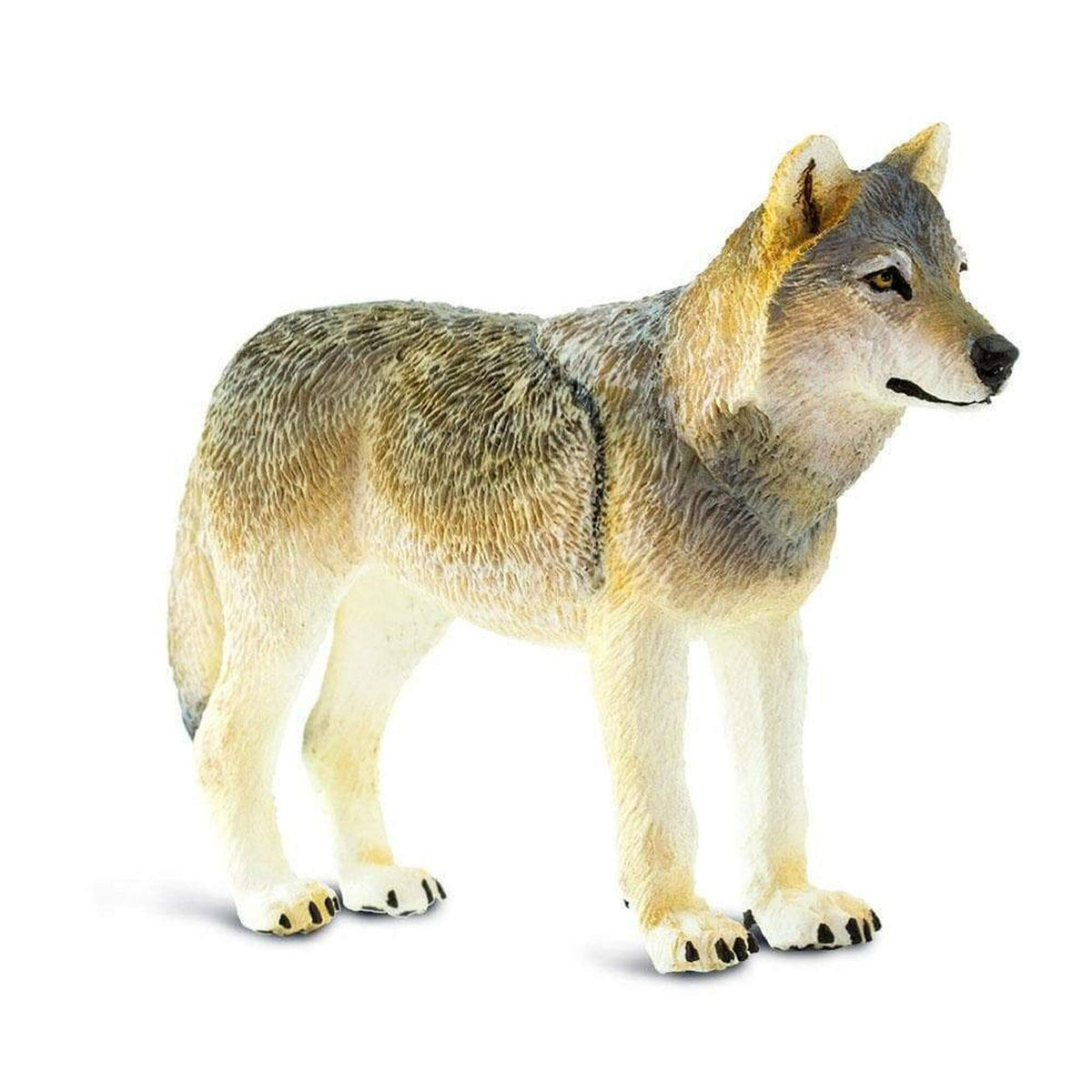 Safari Ltd Grey Wolf-SAF100509-Animal Kingdoms Toy Store