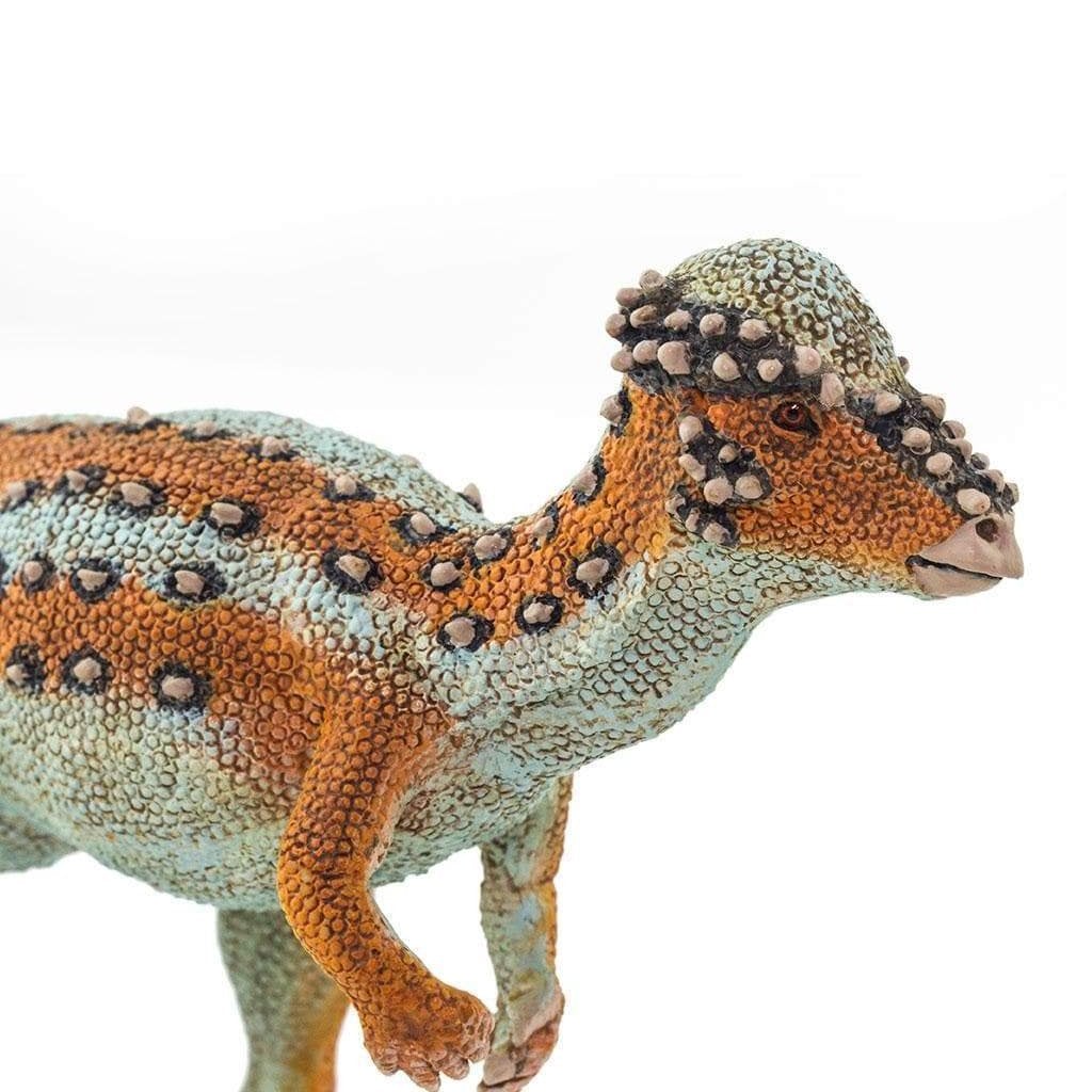 Safari Ltd Pachycephalosaurus-SAF100350-Animal Kingdoms Toy Store