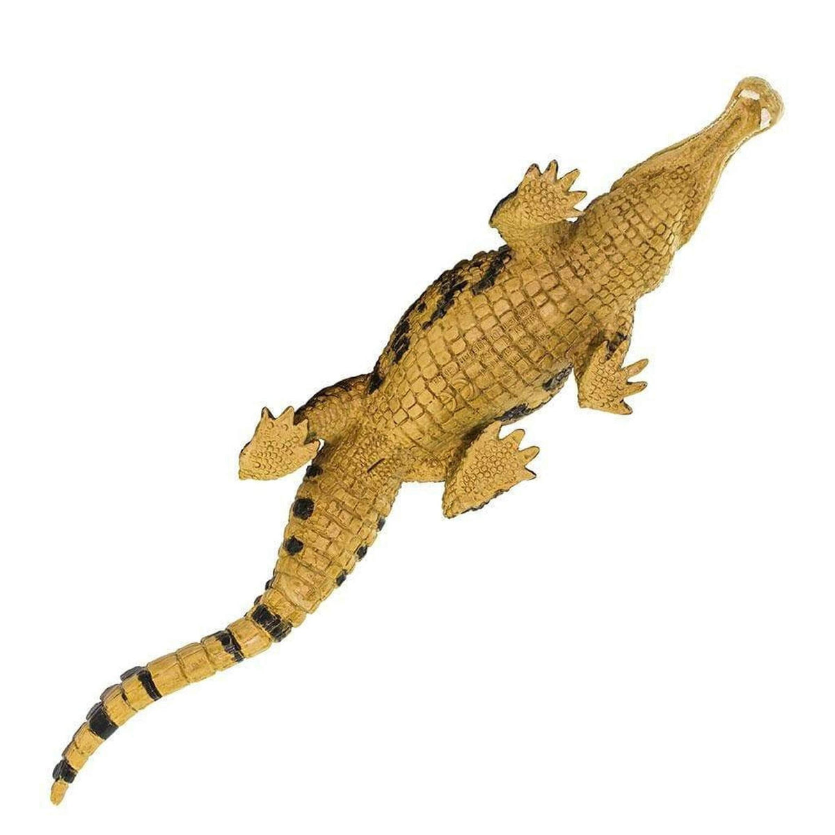 Safari Ltd Sarcosuchus-SAF100356-Animal Kingdoms Toy Store