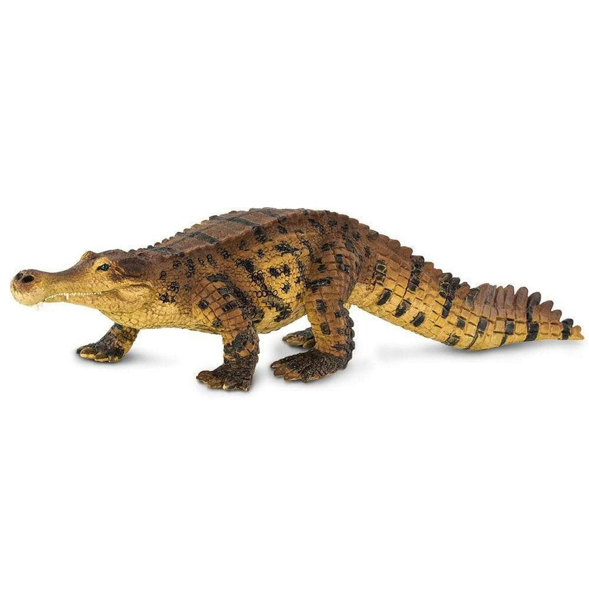 Safari Ltd Sarcosuchus-SAF100356-Animal Kingdoms Toy Store