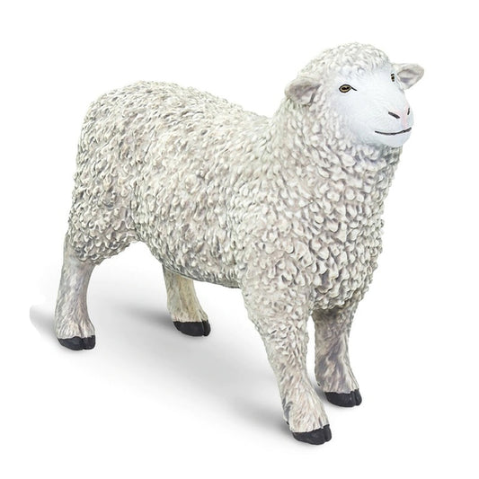 Safari Ltd Sheep-SAF162429-Animal Kingdoms Toy Store