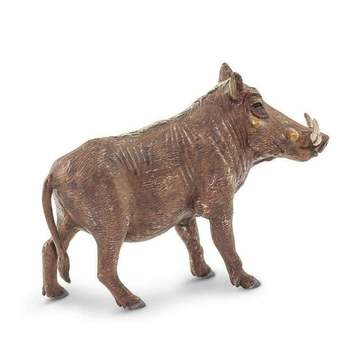 Safari Ltd Warthog-SAF100512-Animal Kingdoms Toy Store
