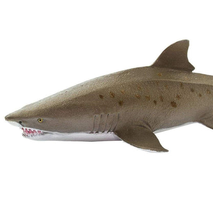Safari Ltd Sand Tiger Shark-SAF100369-Animal Kingdoms Toy Store