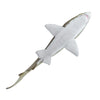 Safari Ltd Sand Tiger Shark-SAF100369-Animal Kingdoms Toy Store