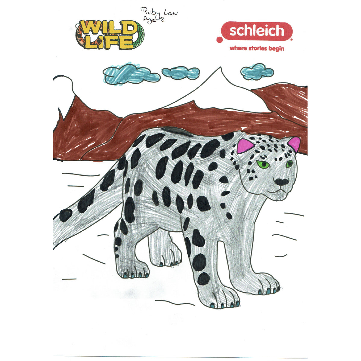Colouring Competition 2022