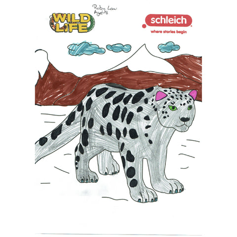 Colouring Competition 2022