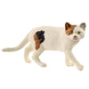 Schleich American Short hair Cat-13894-Animal Kingdoms Toy Store