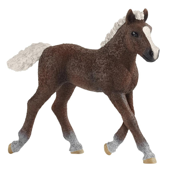 Schleich Black Forest Foal-13899-Animal Kingdoms Toy Store