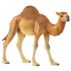 Schleich Dromedary Camel-14832-Animal Kingdoms Toy Store