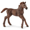 Schleich English Thoroughbred Foal-13857-Animal Kingdoms Toy Store