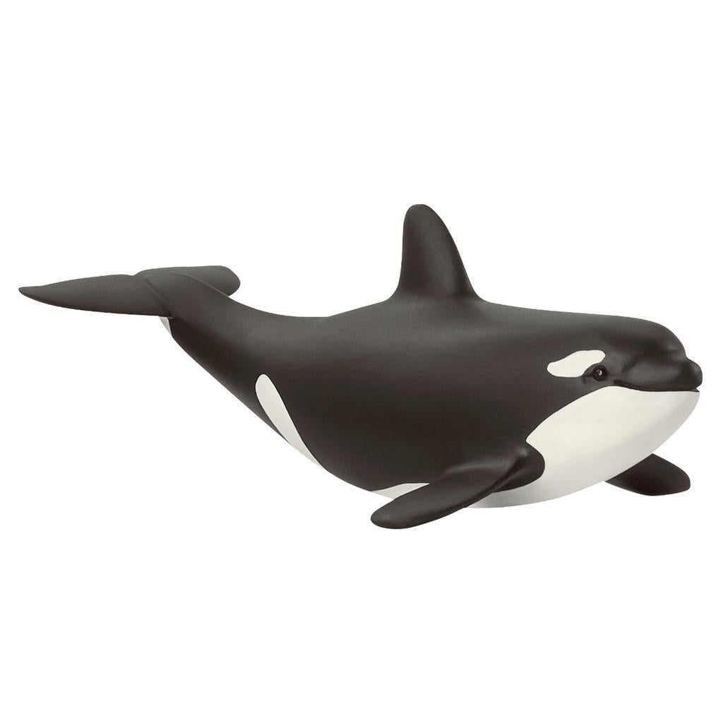 Schleich Orca Calf-14836-Animal Kingdoms Toy Store