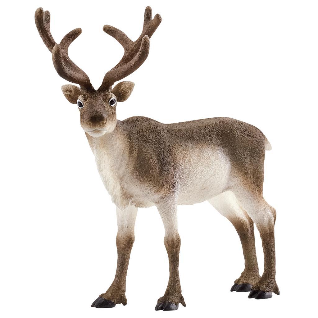 Schleich Reindeer-14837-Animal Kingdoms Toy Store