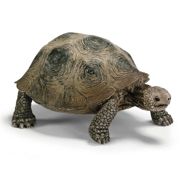 Schleich Giant Tortoise-14601-Animal Kingdoms Toy Store