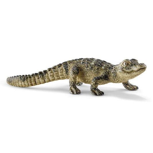 Schleich Baby Alligator-14728-Animal Kingdoms Toy Store