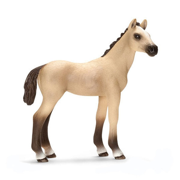 Schleich Akhal-Teke Foal-13702-Animal Kingdoms Toy Store