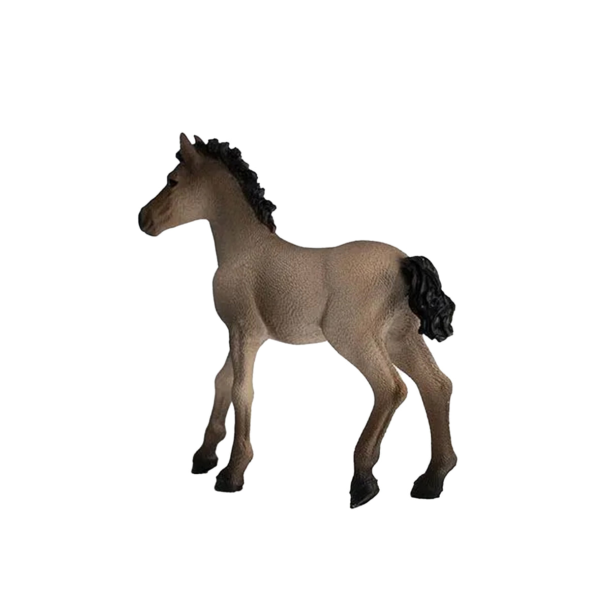 Schleich Criollo Foal