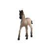 Schleich Criollo Foal