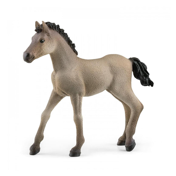 Schleich Criollo Foal-13949-Animal Kingdoms Toy Store