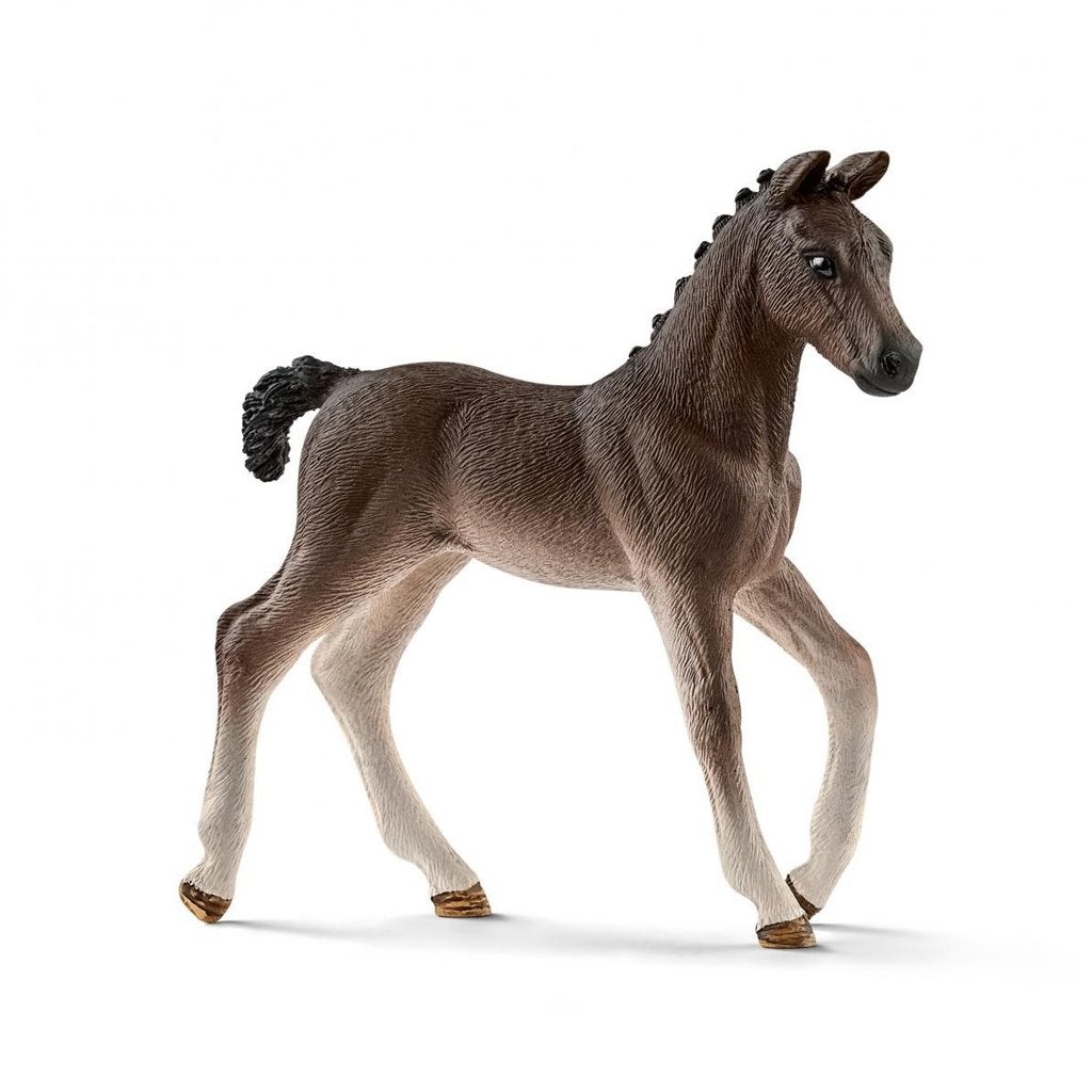 Schleich Hanoverian Foal – Animal Kingdoms Toy Store