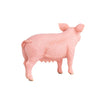 Schleich Pig