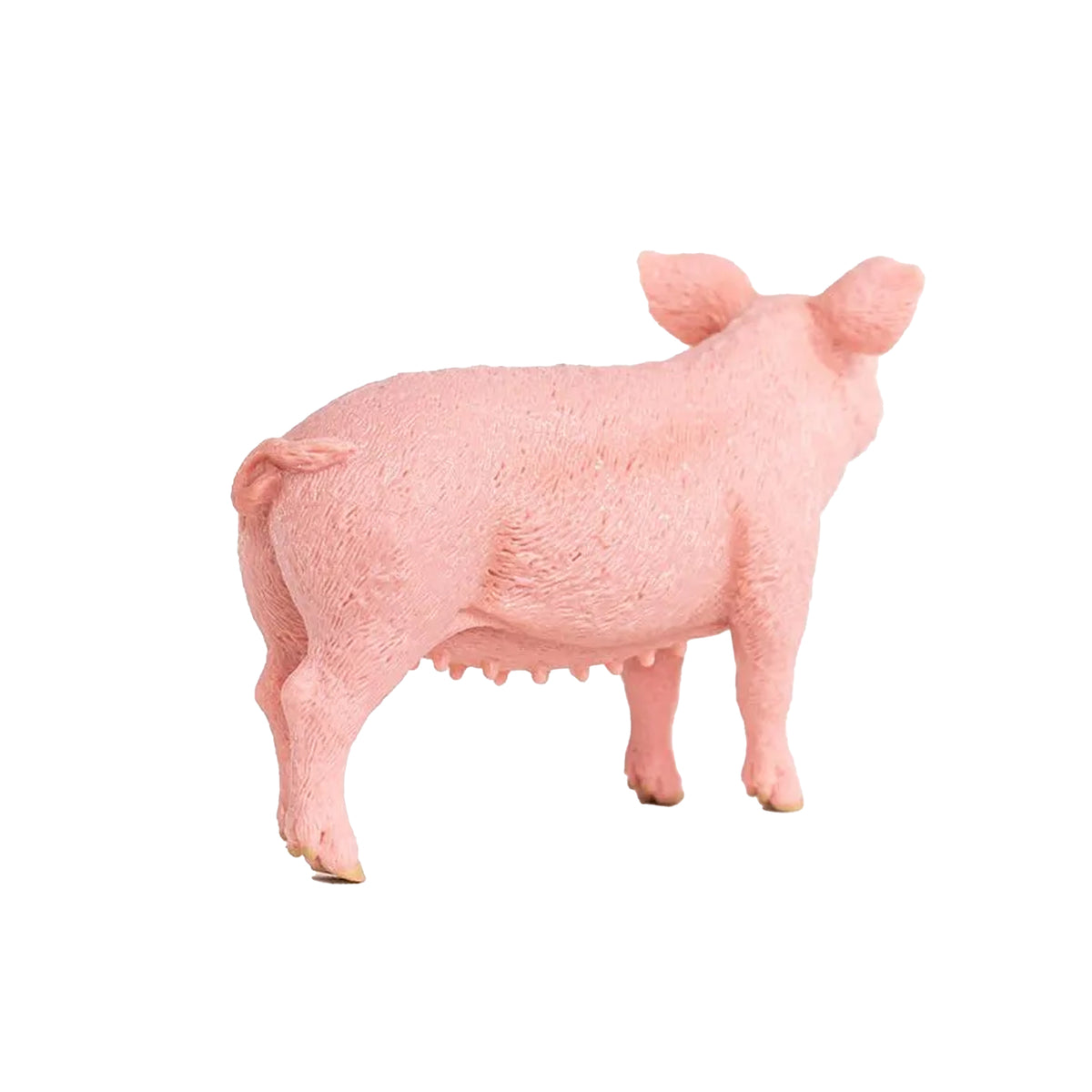 Schleich Pig