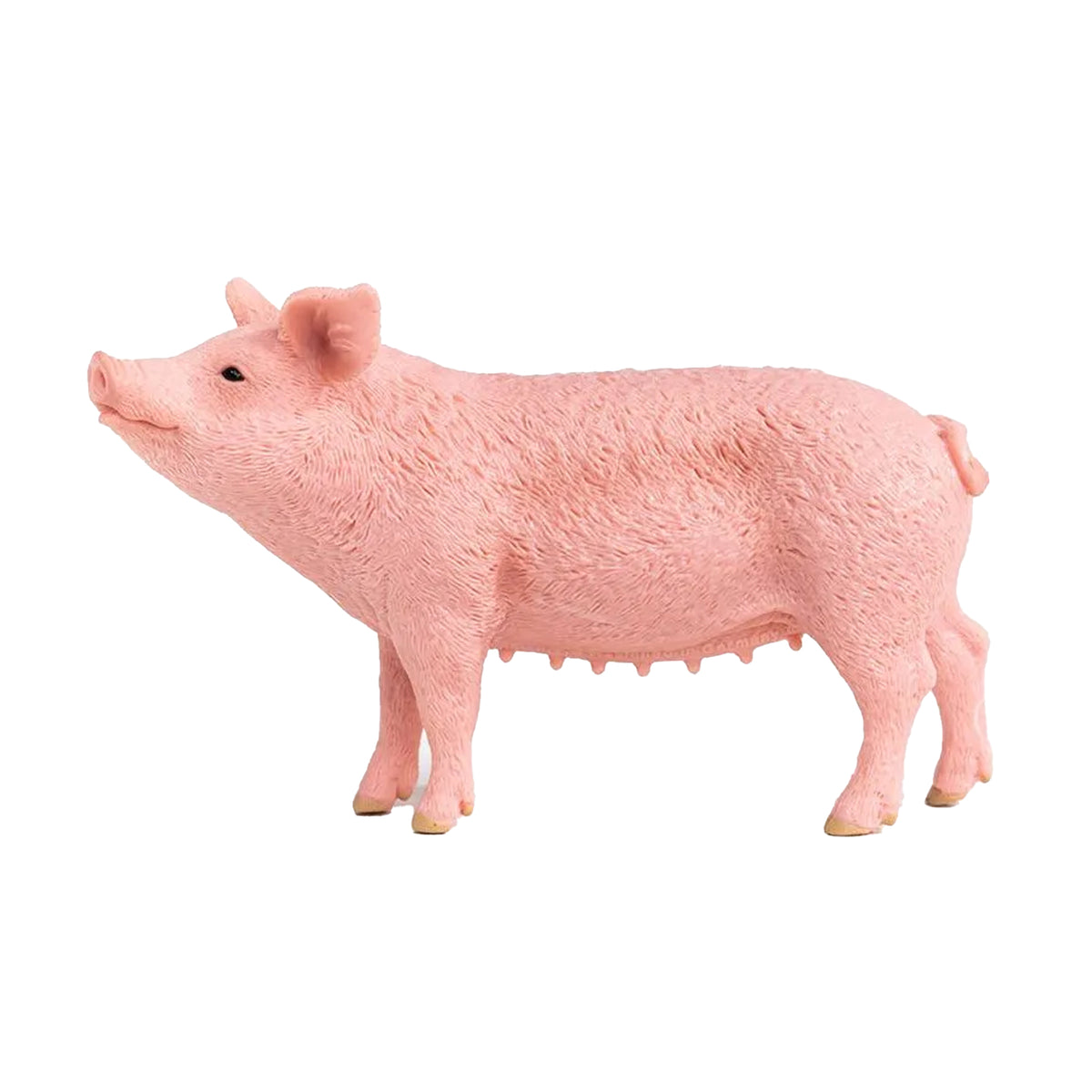 Schleich Pig