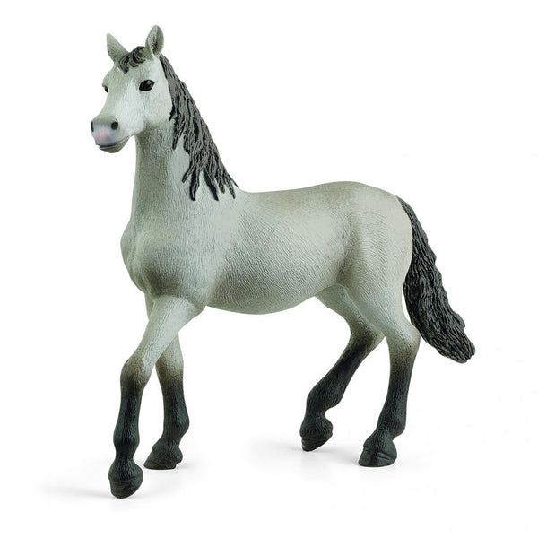 Schleich Pura Raza Espanola young horse-13924-Animal Kingdoms Toy Store