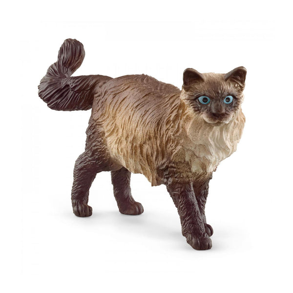 Schleich Ragdoll Cat-13940-Animal Kingdoms Toy Store