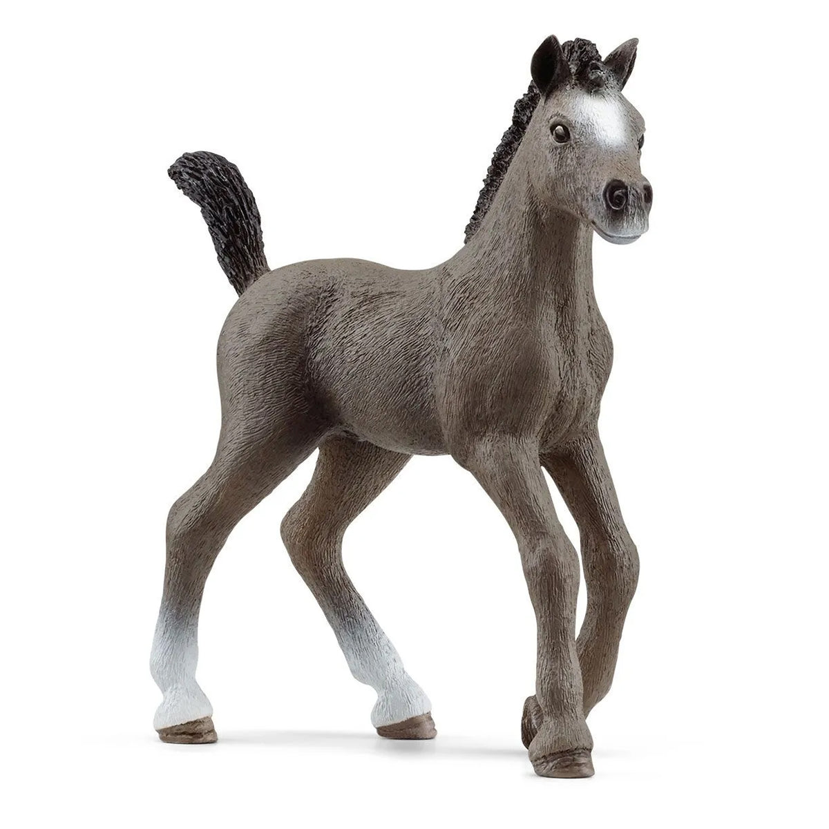 Schleich Selle Francais Foal
