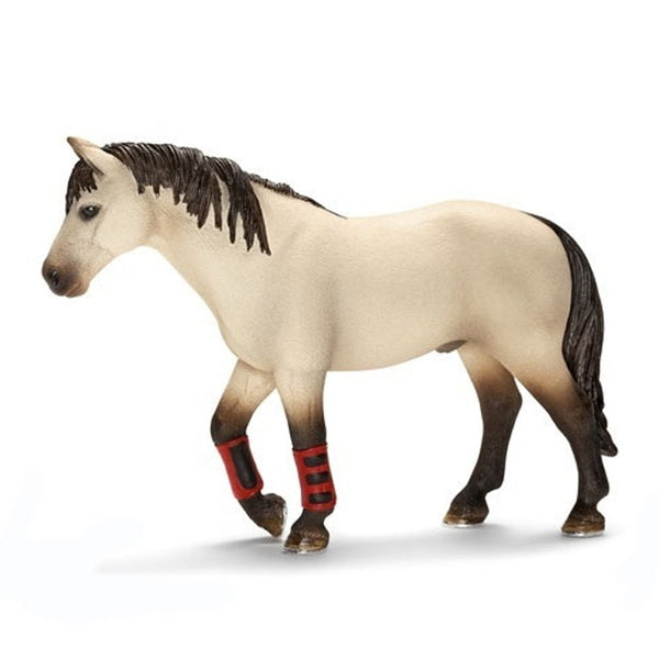 Schleich Trained Horse-13706-Animal Kingdoms Toy Store