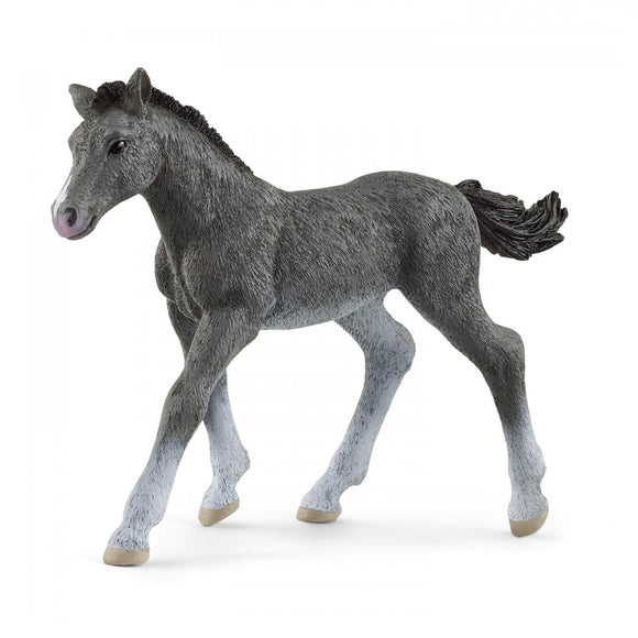 Schleich Trakehner Foal-13944-Animal Kingdoms Toy Store