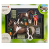 Schleich Trakehner boxed set-21049-Animal Kingdoms Toy Store