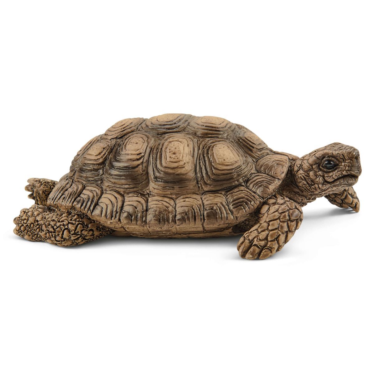 Schleich Tortoise Home-42506-Animal Kingdoms Toy Store