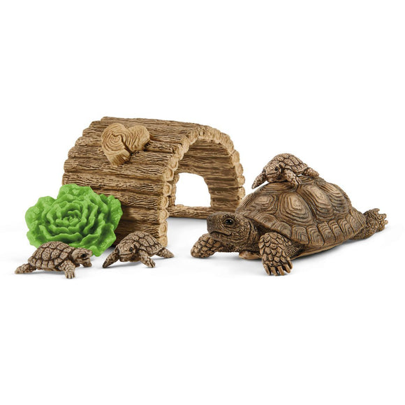 Schleich Tortoise Home-42506-Animal Kingdoms Toy Store