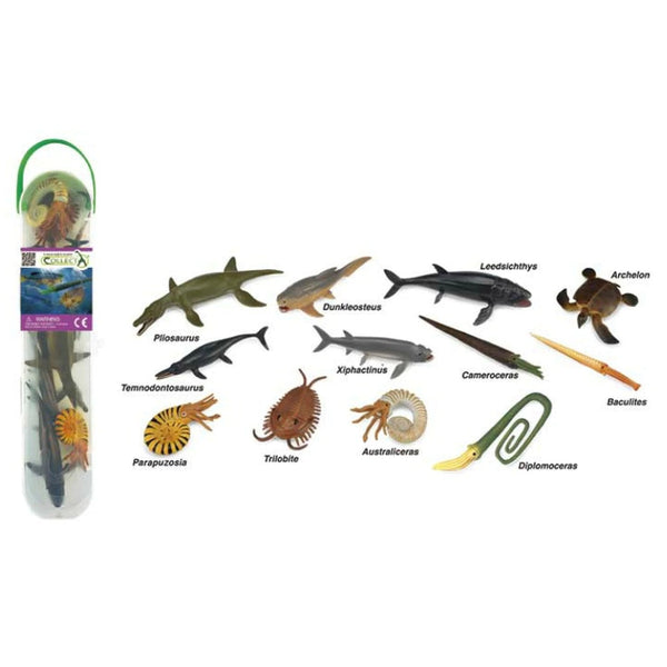CollectA Mini Prehistoric Marine Tube-89A1104-Animal Kingdoms Toy Store