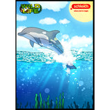 Colouring Competition 2022