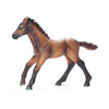 Schleich Camargue foal-13712-Animal Kingdoms Toy Store