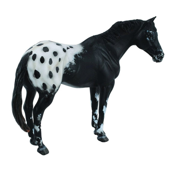 CollectA Appaloosa Stallion Black-88437-Animal Kingdoms Toy Store