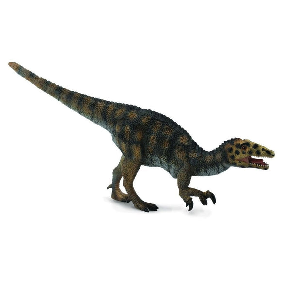 CollectA Australovenator-88505-Animal Kingdoms Toy Store
