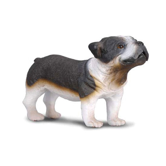 CollectA Bulldog-88179-Animal Kingdoms Toy Store