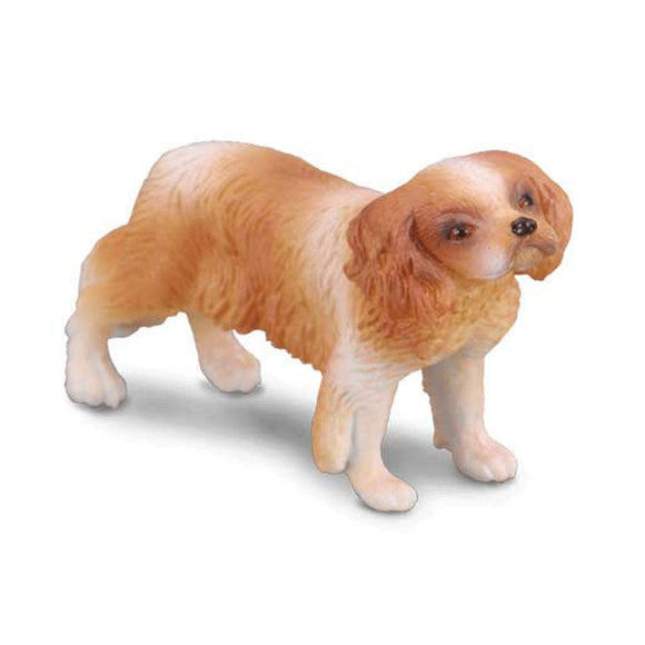 CollectA Cavalier King Charles Spaniel-88181-Animal Kingdoms Toy Store